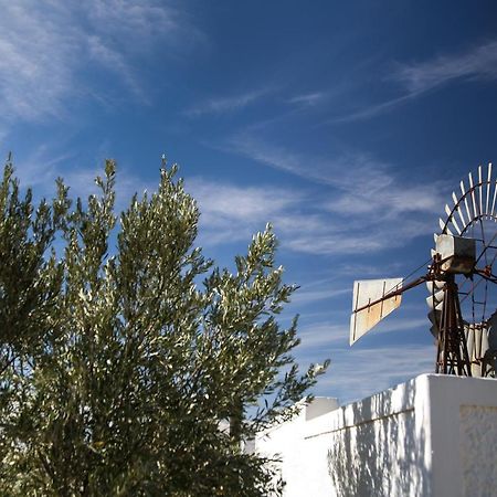 Dennehof Karoo Guesthouse Prince Albert Exterior photo