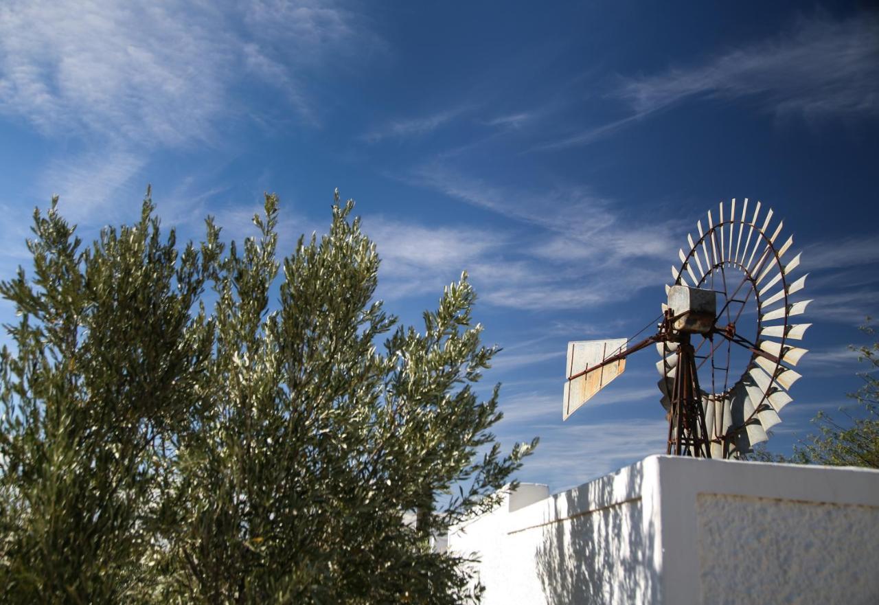 Dennehof Karoo Guesthouse Prince Albert Exterior photo