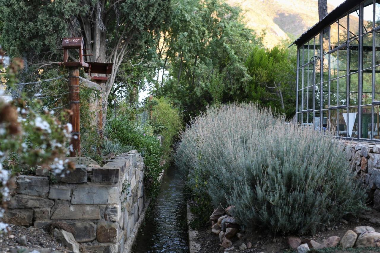 Dennehof Karoo Guesthouse Prince Albert Exterior photo