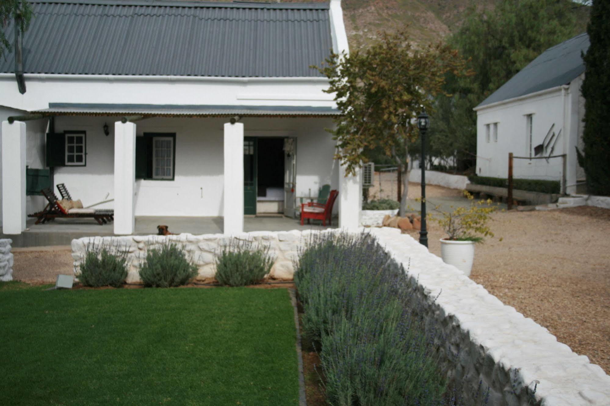 Dennehof Karoo Guesthouse Prince Albert Exterior photo